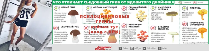 Галлюциногенные грибы ЛСД  цена наркотик  Зима 